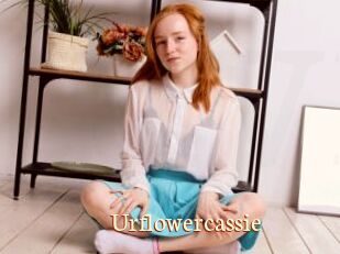 Urflowercassie