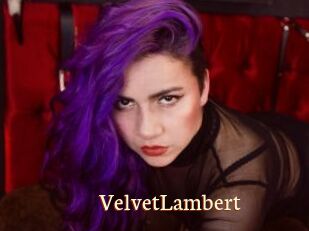 VelvetLambert