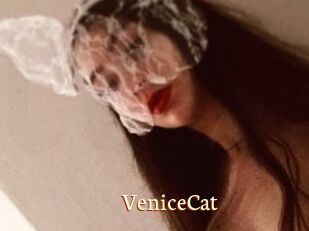 VeniceCat