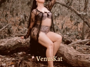 VenusKat