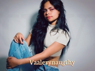 Vaalerynaugthy