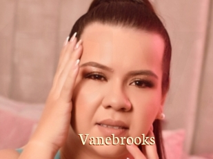 Vanebrooks