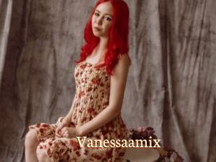 Vanessaamix