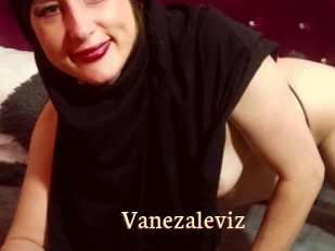 Vanezaleviz