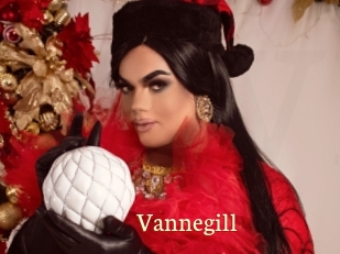 Vannegill