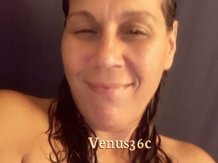 Venus36c