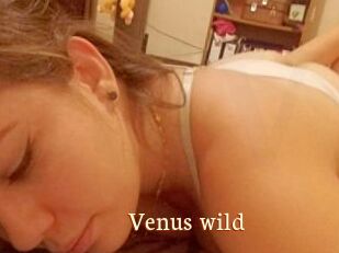 Venus_wild