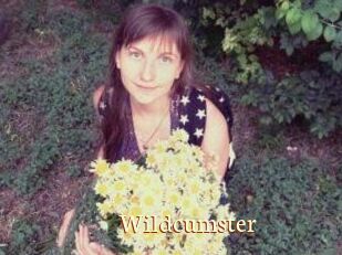 Wildcumster