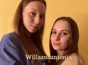 Willaandantonia