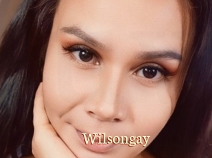 Wilsongay