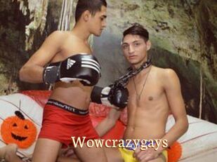 Wowcrazygays