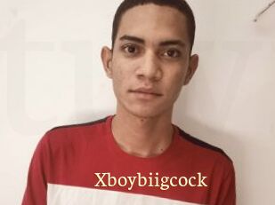 Xboybiigcock