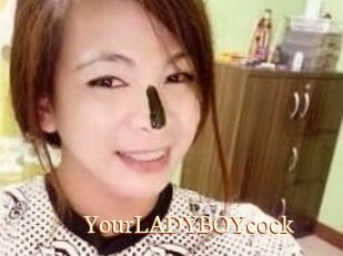 YourLADYBOYcock