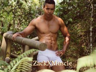 ZackXMuscle