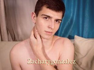 Zacharygonzalez