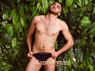 Zanedeyum