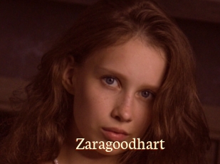 Zaragoodhart