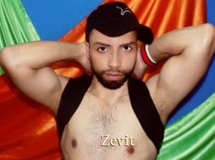 Zevit